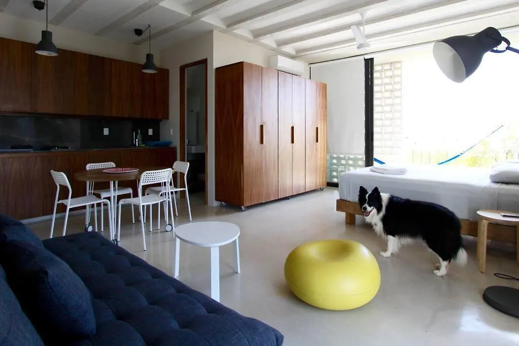 Cool Loft Rooftop Pool, Great Views Cancun Daire